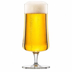 Beer Basic ölglas 30 cl