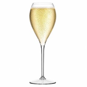 Lounge champagneglas i plast - Tritan