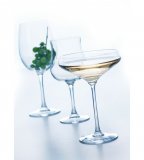 Cabernet champagne glass coupe
