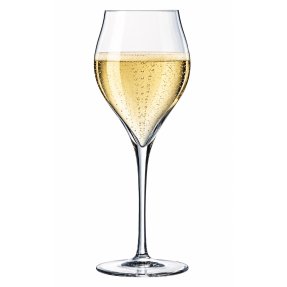 Exaltation champagneglas 30 cl 6-pack