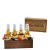 Beer Bottle Ring Toss dryckesspel