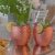Moscow Mule kopparmugg hamrad 45 cl