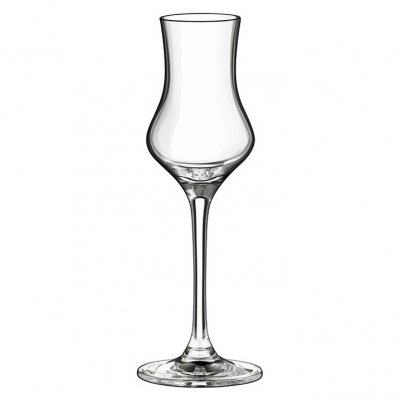 Rona Grappa Edition snifter glass 9 cl